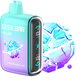 GEEK BAR PULSE 15K Disposable Vape