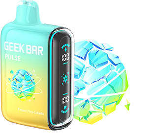 GEEK BAR PULSE 15K Disposable Vape